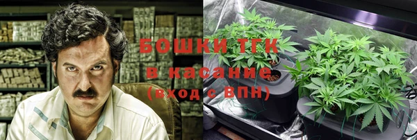 гидра Алексин